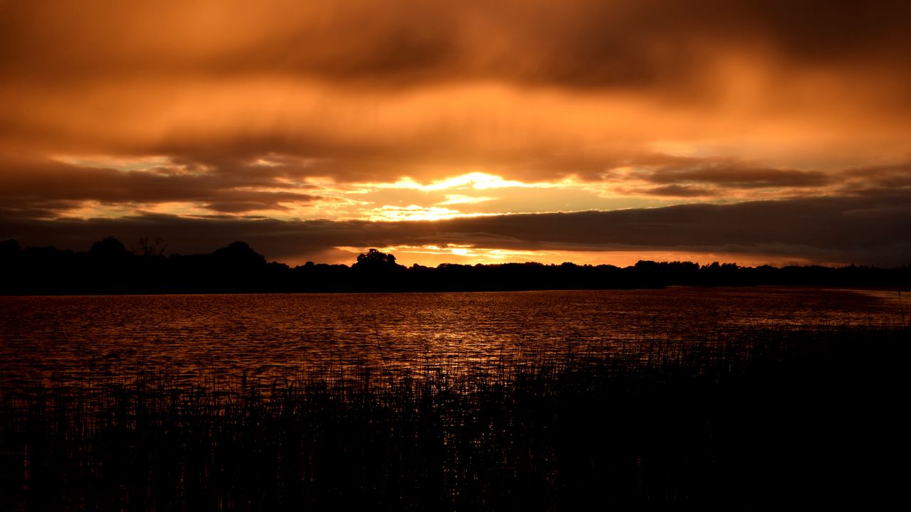 Wallpaper river, grass, trees, evening, silhouettes