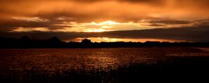 Preview wallpaper river, grass, trees, evening, silhouettes