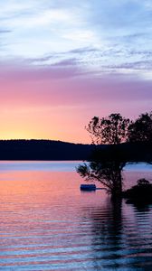 Preview wallpaper river, hill, tree, sunset, ripples