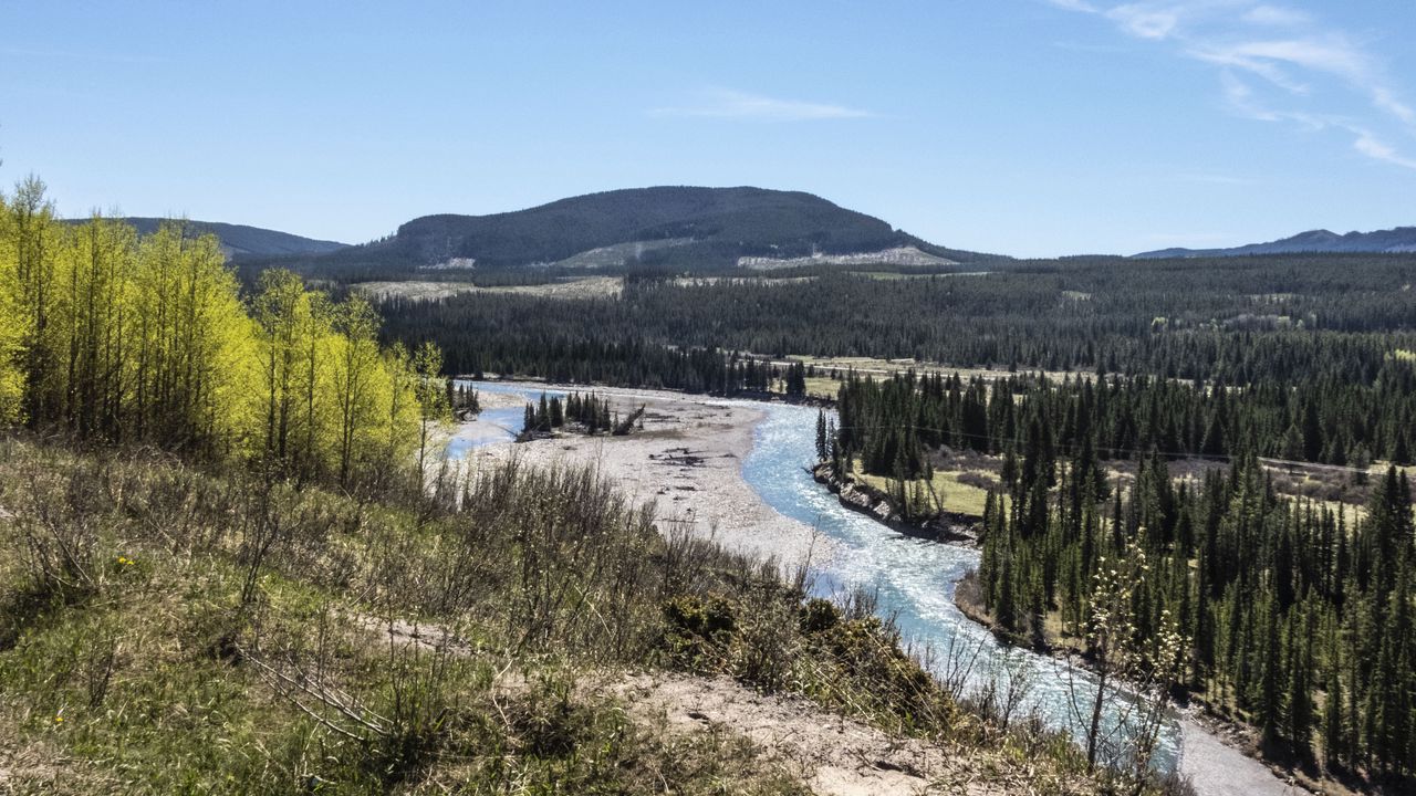 Wallpaper river, hills, trees, nature, landscape