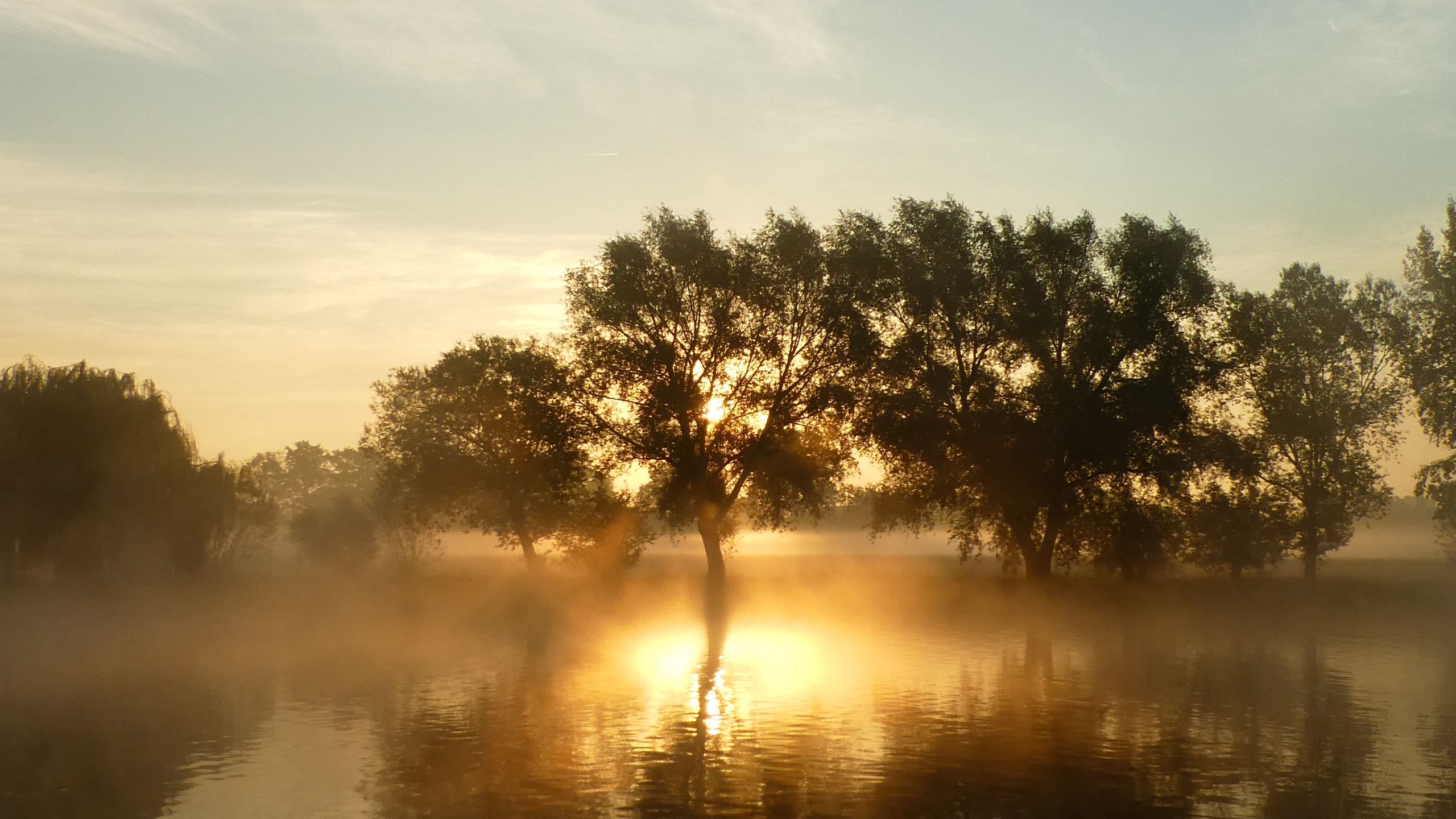 Download wallpaper 2560x1440 river, horizon, dawn, silence widescreen