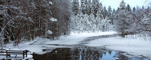 Preview wallpaper river, ice, snow, trees, winter, nature