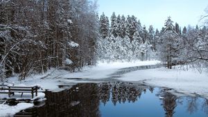 Preview wallpaper river, ice, snow, trees, winter, nature