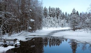 Preview wallpaper river, ice, snow, trees, winter, nature