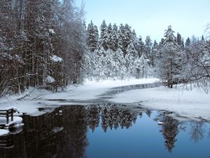 Preview wallpaper river, ice, snow, trees, winter, nature