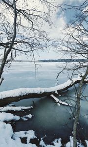 Preview wallpaper river, ice, snow, branches, winter, trees