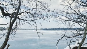 Preview wallpaper river, ice, snow, branches, winter, trees
