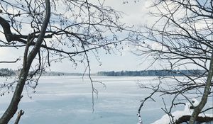 Preview wallpaper river, ice, snow, branches, winter, trees