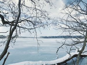 Preview wallpaper river, ice, snow, branches, winter, trees