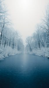 Preview wallpaper river, ice, trees, snow, winter, nature