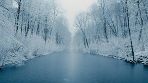 Preview wallpaper river, ice, trees, snow, winter, nature