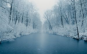Preview wallpaper river, ice, trees, snow, winter, nature