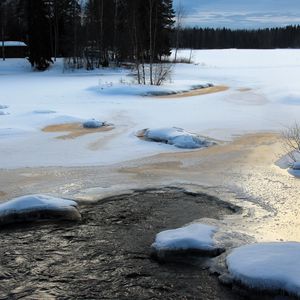 Preview wallpaper river, ice, winter, trees, nature