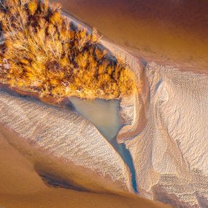 Preview wallpaper river, island, aerial view, water, sand, trees