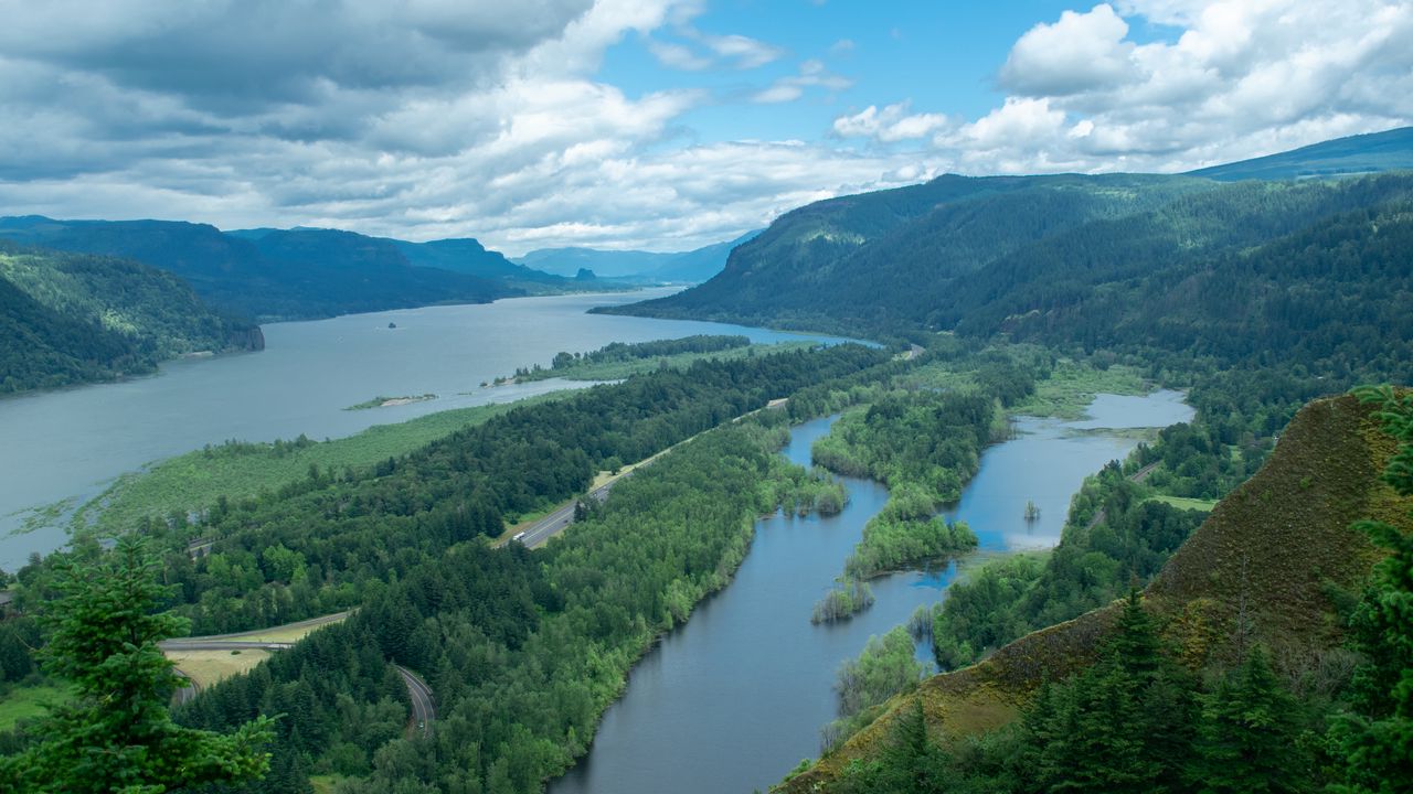 Wallpaper river, islands, trees, landscape, aerial view