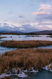 Preview wallpaper river, islands, water, ice, nature