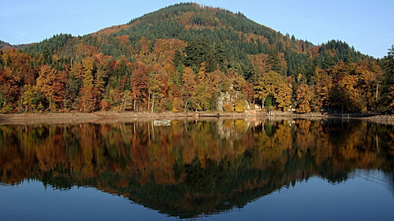 Wallpaper river, lake, autumn, trees, hill
