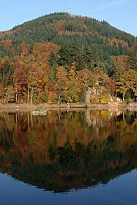 Preview wallpaper river, lake, autumn, trees, hill