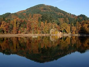 Preview wallpaper river, lake, autumn, trees, hill