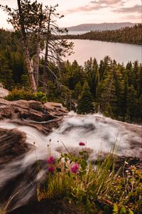 Preview wallpaper river, lake, forest, mountains, landscape