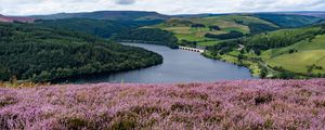 Preview wallpaper river, landscape, nature, flowers, meadow