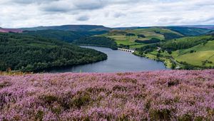 Preview wallpaper river, landscape, nature, flowers, meadow