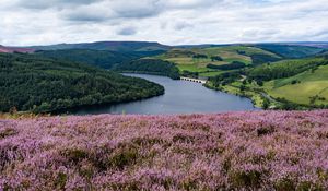 Preview wallpaper river, landscape, nature, flowers, meadow