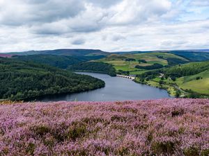 Preview wallpaper river, landscape, nature, flowers, meadow