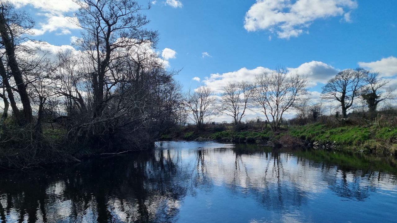 Wallpaper river, landscape, nature, trees, sky, reflection