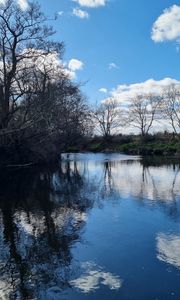 Preview wallpaper river, landscape, nature, trees, sky, reflection