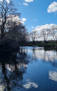 Preview wallpaper river, landscape, nature, trees, sky, reflection