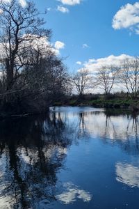 Preview wallpaper river, landscape, nature, trees, sky, reflection