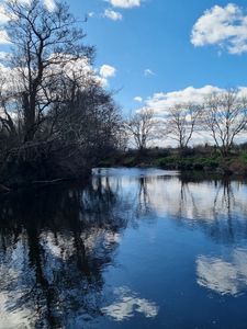Preview wallpaper river, landscape, nature, trees, sky, reflection