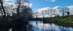 Preview wallpaper river, landscape, nature, trees, sky, reflection