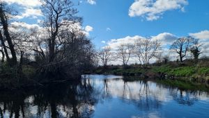 Preview wallpaper river, landscape, nature, trees, sky, reflection