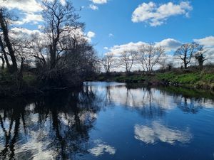 Preview wallpaper river, landscape, nature, trees, sky, reflection