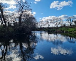 Preview wallpaper river, landscape, nature, trees, sky, reflection