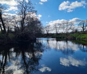 Preview wallpaper river, landscape, nature, trees, sky, reflection