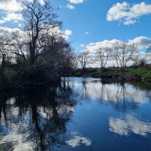 Preview wallpaper river, landscape, nature, trees, sky, reflection