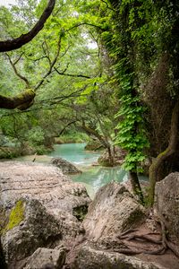 Preview wallpaper river, landscape, stones, trees, nature