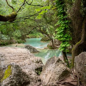 Preview wallpaper river, landscape, stones, trees, nature