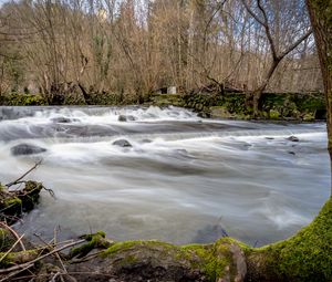 Preview wallpaper river, landscape, trees, cascade, nature