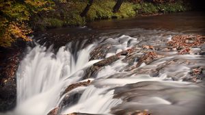 Preview wallpaper river, leaves, wet, nature