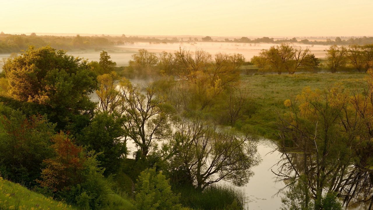 Wallpaper river, lowland, fog, trees