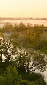 Preview wallpaper river, lowland, fog, trees