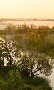 Preview wallpaper river, lowland, fog, trees