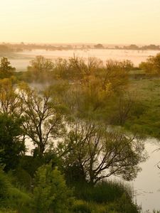 Preview wallpaper river, lowland, fog, trees