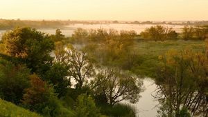 Preview wallpaper river, lowland, fog, trees