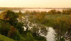 Preview wallpaper river, lowland, fog, trees