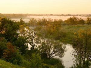 Preview wallpaper river, lowland, fog, trees